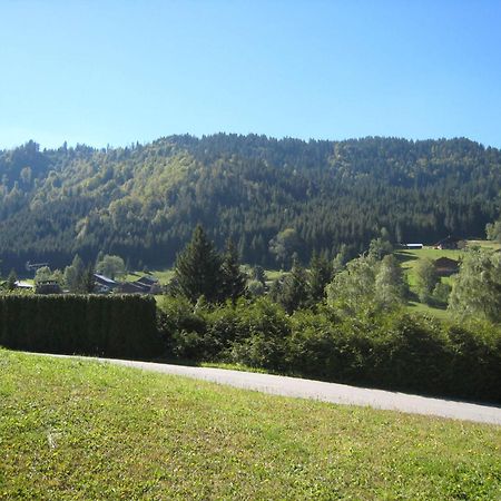 Charmant Studio Avec Terrasse Et Wifi A La Clusaz - Fr-1-459-64 Eksteriør billede
