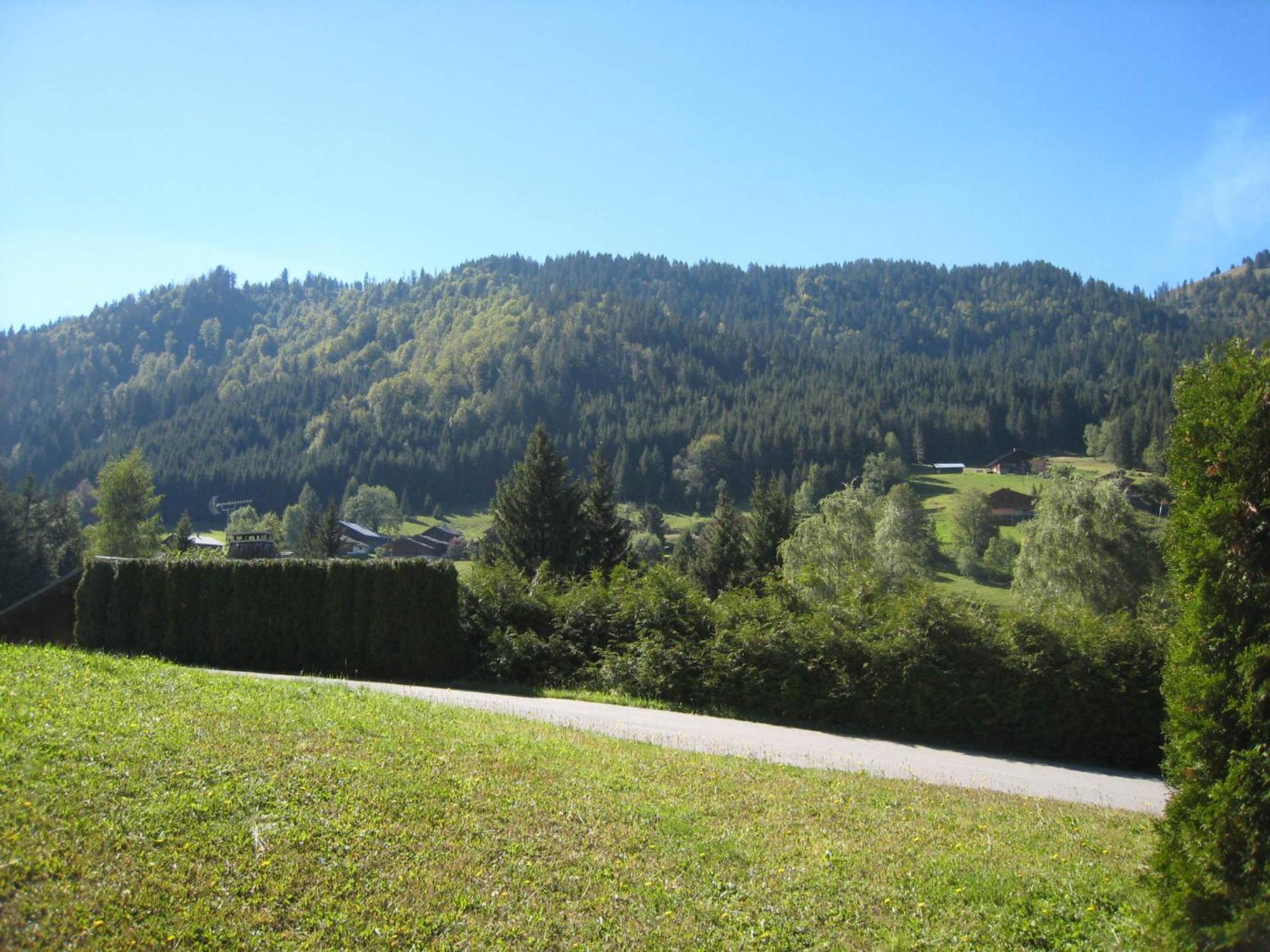 Charmant Studio Avec Terrasse Et Wifi A La Clusaz - Fr-1-459-64 Eksteriør billede
